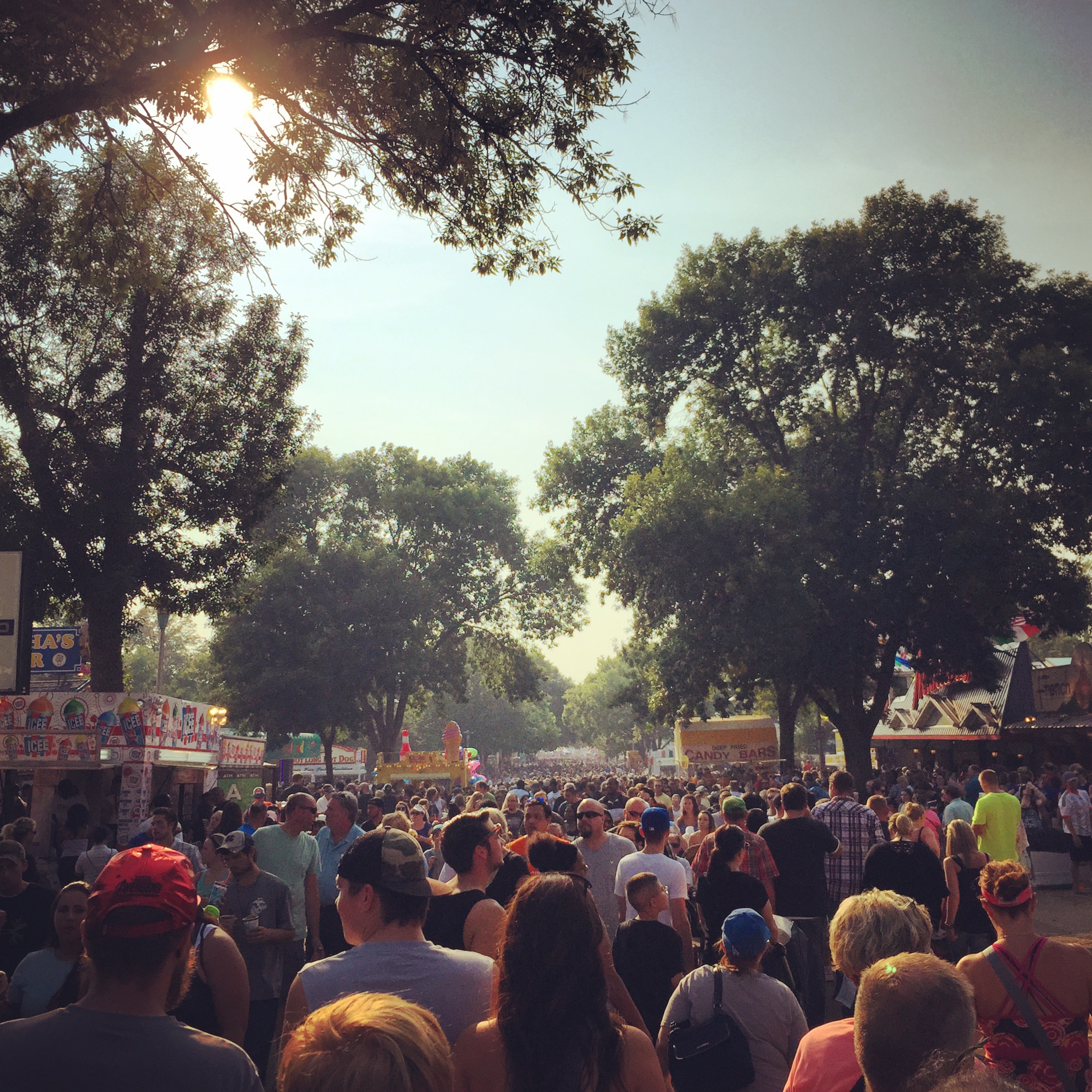 Minnesota State Fair Crowd