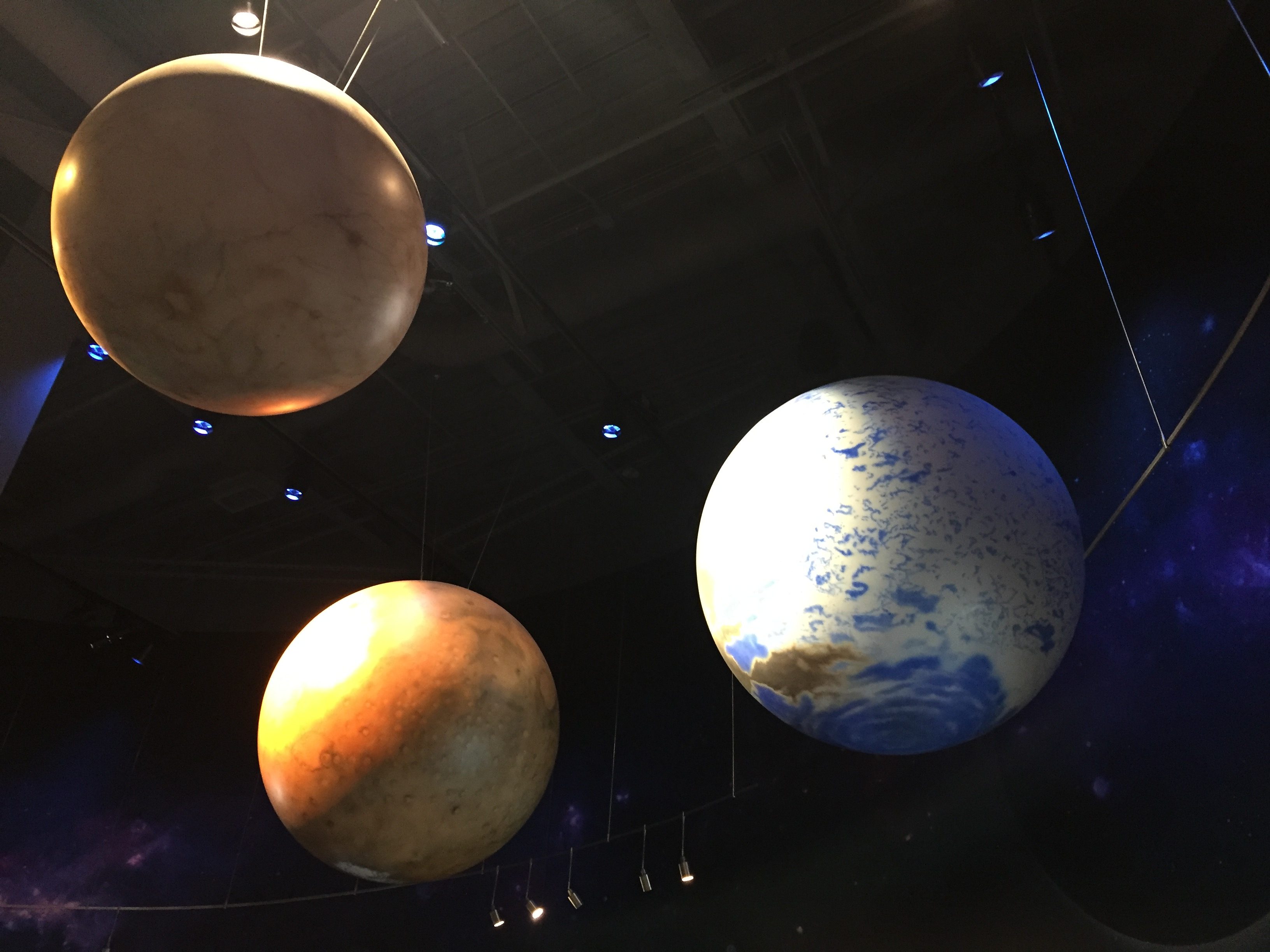 Bell Museum: Life in the Universe