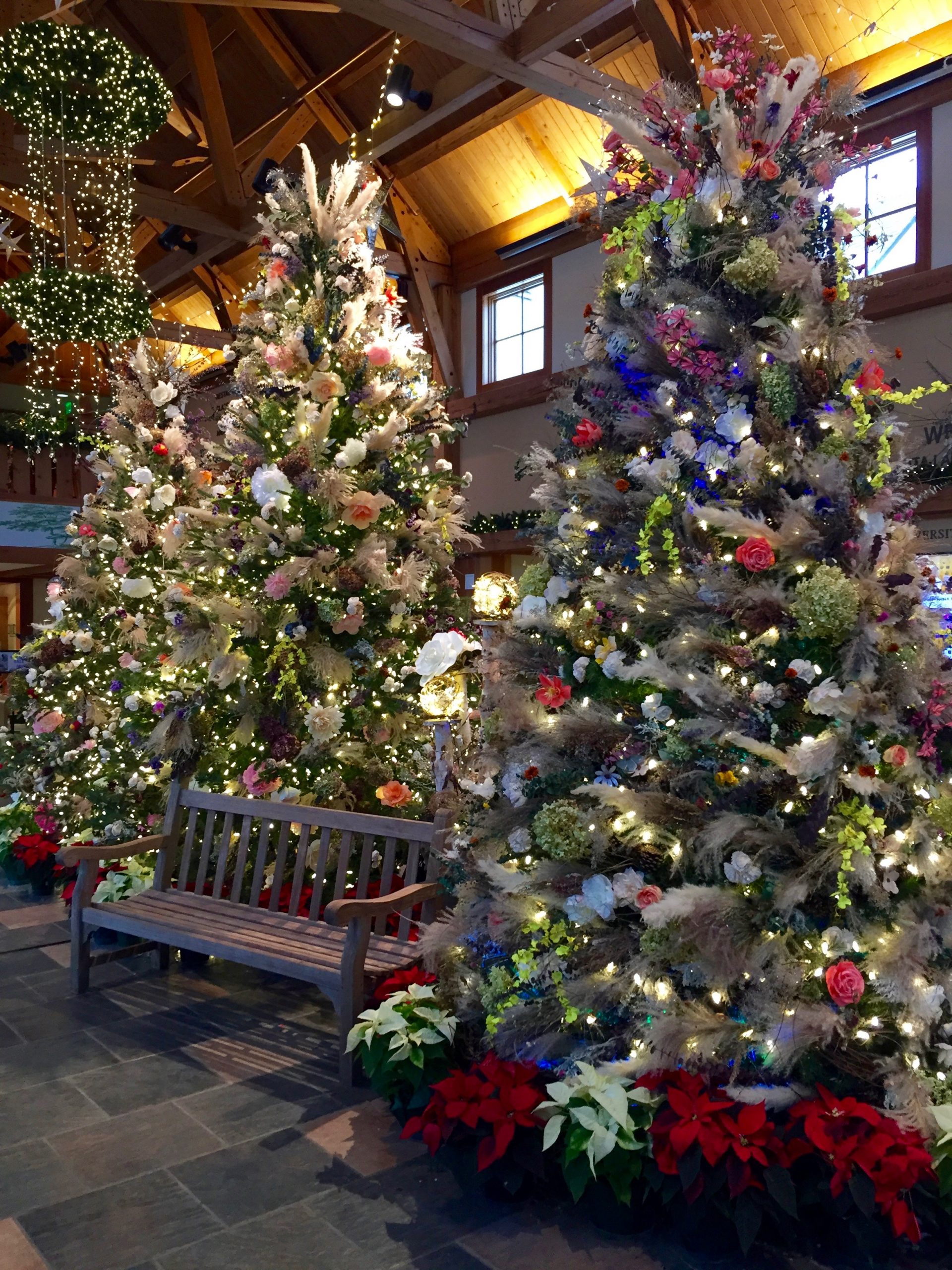 Winter in Bloom: Christmas Trees